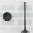Valve Exhaust ISUZU 4XC1 EX3025 - NASON