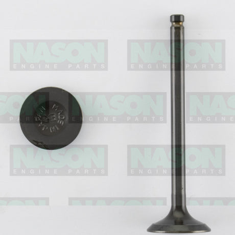 Valve Exhaust ISUZU 4XC1 EX3025 - Nason