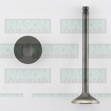Valve Exhaust ISUZU 4XC1 RB GEMINI EX3025ST - Nason