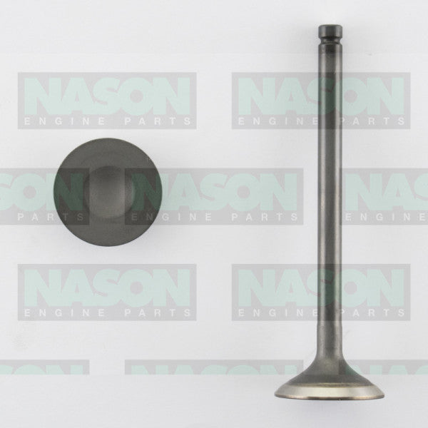 Valve Exhaust ISUZU 4XC1 RB GEMINI EX3025ST - NASON