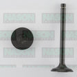 Valve Exhaust MAZDA RF R2 DIESEL EX3055 - NASON