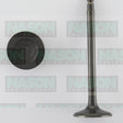 Valve Exhaust NISSAN KA24E SOHC 12V EX3079 - NASON