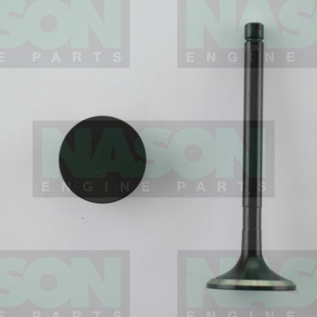 Valve Exhaust TOYOTA 2Y 3Y 4Y 36.0mm H/Dia EX3105 - Nason