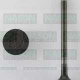 Valve Exhaust TOYOTA B 8/80-ON EX3119 - Nason