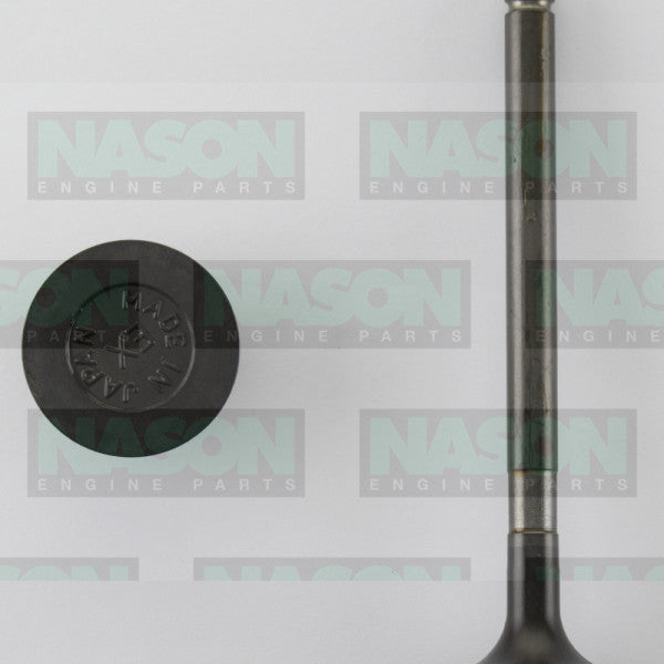 Valve Exhaust TOYOTA B 8/80-ON EX3119 - NASON