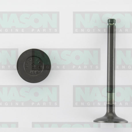 Valve Exhaust MAZDA SL SLT T3500 EX3155 - Nason