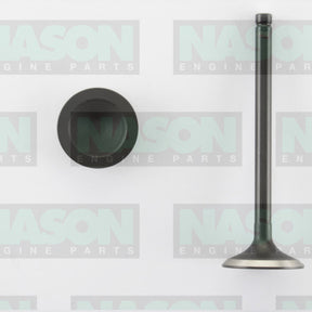 Valve Exhaust HOLDEN V6 3.8L VS-VY ECOTEC EX3185 - NASON