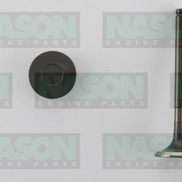 Valve Exhaust TOYOTA 1FZ-FE EX3191ST - NASON