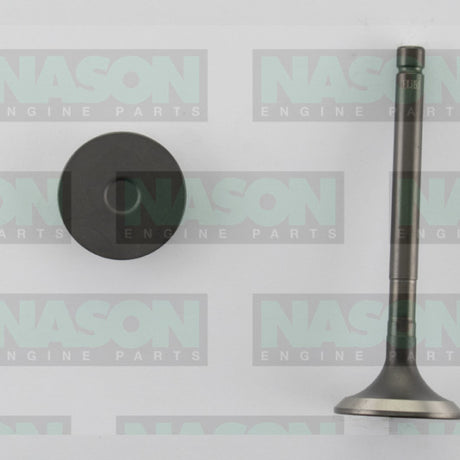Valve Exhaust TOYOTA 2L 3L DIESEL EX3193 - Nason
