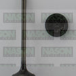 Valve Exhaust TOYOTA 1MZFE 3MZ-FE EX3289 - NASON