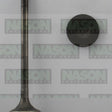 Valve Exhaust HONDA EW1 EX3293 - NASON