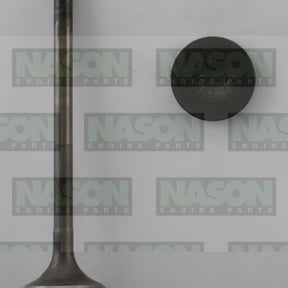 Valve Exhaust HONDA EW1 EX3293 - NASON