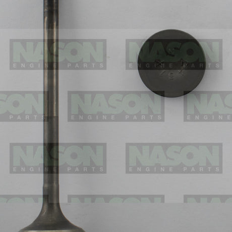 Valve Exhaust HONDA EW1 EX3293 - Nason