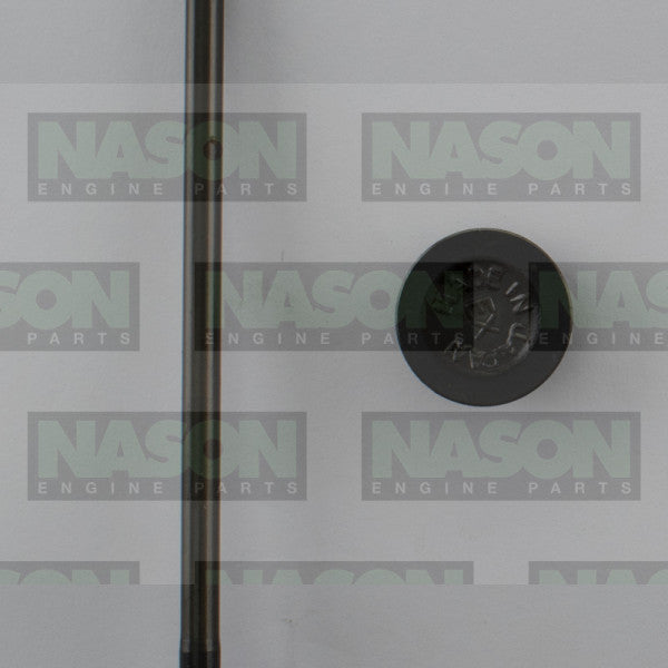 Valve Exhaust HONDA D15B D15Z EX3295 - NASON