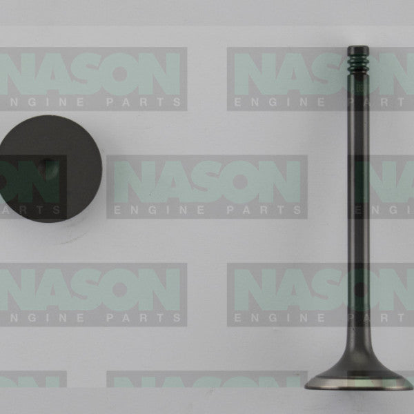 Valve Exhaust HOLDEN DAEWOO C20SEL T20 T22SE EX3307ST - NASON