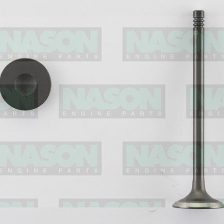 Valve Exhaust HOLDEN C16XE X16XE Z14XE EX3309ST - Nason