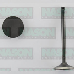 Valve Exhaust HOLDEN C20NE X20SE C22NE EX3311ST - NASON