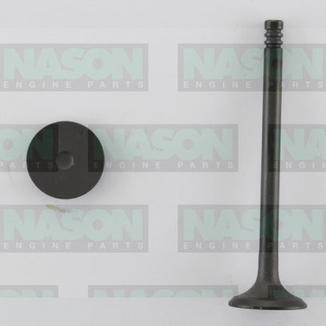 Valve Exhaust HOLDEN C20LET C20XE EX3313ST - FAI