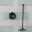 Valve Exhaust HOLDEN X18XE1 Z18XE EX3317ST - NASON