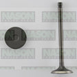 Valve Exhaust MAZDA WL WLT DIESEL EX3337 - NASON