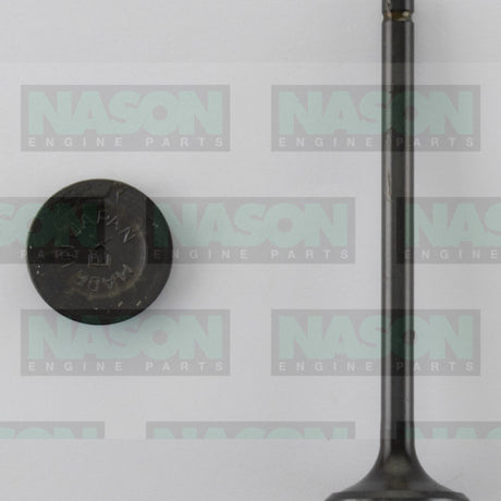 Valve Exhaust HONDA F23A EX3359 - Nason
