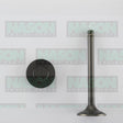 Valve Exhaust MAZDA TF TM EX3371 - NASON