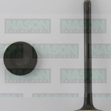 Valve Exhaust MAZDA KL EX3377 - Nason