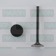 Valve Exhaust NISSAN TB45 EX3383 - NASON