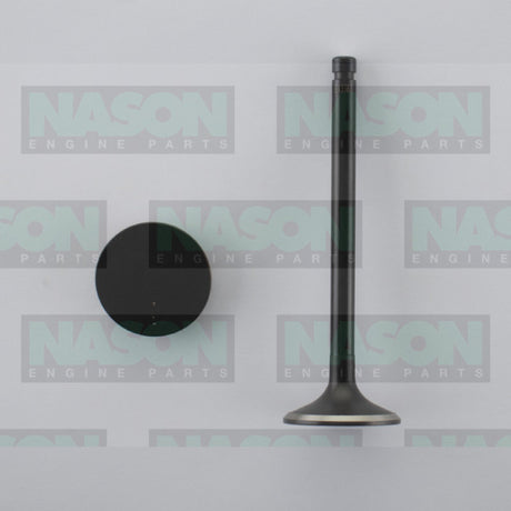 Valve Exhaust NISSAN TB45 EX3383 - Nason