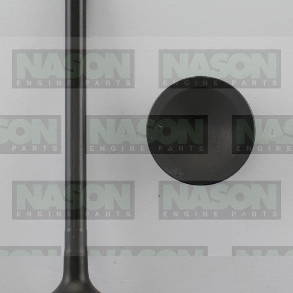 Valve Exhaust HOLDEN 5.7 6.0 LS1 LS2 EX3395 - NASON