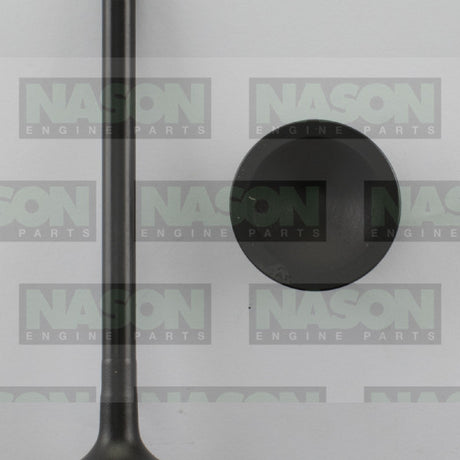 Valve Exhaust HOLDEN 5.7 6.0 LS1 LS2 EX3395 - Nason