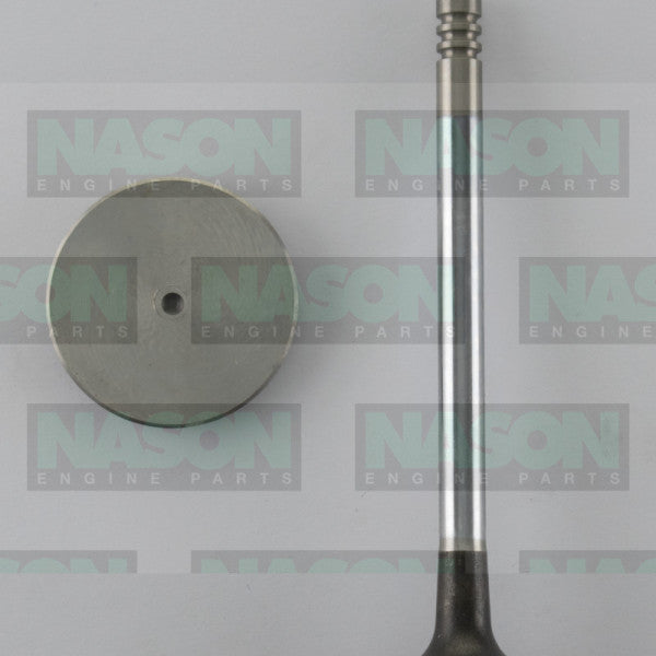 Valve Exhaust FOR TRANSIT NSJ 2.0L EX3452 - FAI