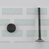 Valve Exhaust HYUNDAI G4EK G4FK 1994-ON EX3456 - Nason