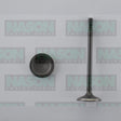 Valve Exhaust FORD BA 4.0L NAT/TURBO DOHC EX3460 - NASON