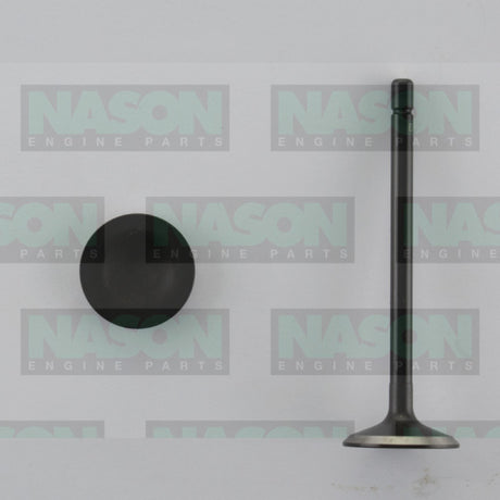 Valve Exhaust HOLDEN V6 3.2L 3.6L ALLOYTEC EX3501 - Nason