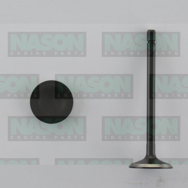 Valve Exhaust HOLDEN V6 3.2L 3.6L ALLOYTEC EX3501 - NASON