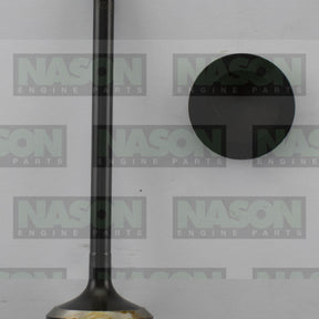 Valve Exhaust HOLDEN Z22SE Z22CE 2.2 L EX3513 - NASON
