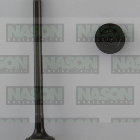 Valve Exhaust MAZDA B3 SOHC 16V EX3515 - Nason