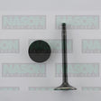 Valve Exhaust NISSAN TB48E TB48S EX4128 - NASON