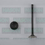 Valve Exhaust FORD 5.4L DOHC 32V EX4479 - Nason