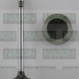 Valve Exhaust FORD 4.0L V6 SOHC EXPLORER EX4586FM - ENGINE PRO
