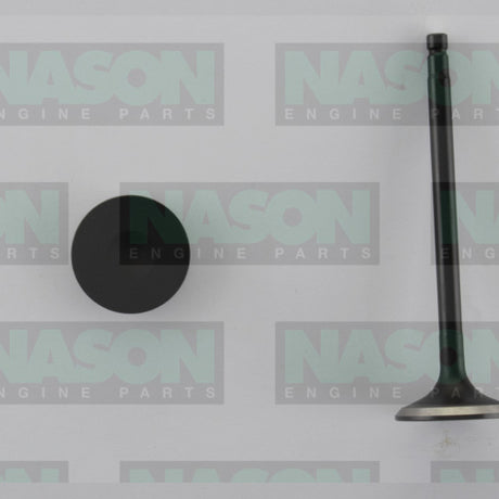 Valve Exhaust NISSAN QR25DE 2.5L DOHC T30 EX5007 - Nason