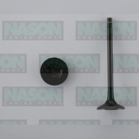 Valve Exhaust NISSAN QR25DE 2.5L DOHC T31 EX5013 - Nason