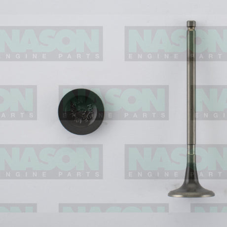 Valve Exhaust MITSUBISHI 4G69 SOHC 16V TO 06 EX5015 - Nason