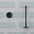 Valve Exhaust HOLDEN BARINA OPEL Z14XEP EX5023 - Nason