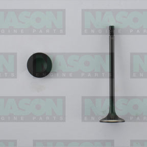 Valve Exhaust HOLDEN BARINA OPEL Z14XEP EX5023 - Nason