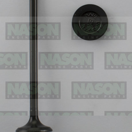 Valve Exhaust SUZUKI M13A M15A M16A EX5025 - Nason