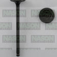 Valve Exhaust NISSAN QG16DE QG18DE 1.6 1.8L EX5027 - Nason