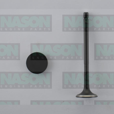 Valve Exhaust TOYOTA 1VD-FTV EX5037 - Nason