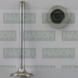 Valve Exhaust ROVER 25K4F V6 EX5041 - FAI